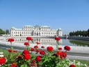 Blumen vor Schloss Belvedere mit reflektierendem Teich.