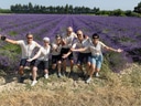 Gruppe von Menschen in einem Lavendelfeld.