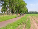 Gruppe von Radfahrern auf ländlichem Weg neben Feld und Bäumen.