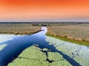 Luftaufnahme von einem Boot auf einem Fluss mit umliegendem Schilf und orangefarbenem Himmel.