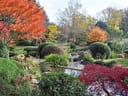 Japanischer Garten im Herbst mit buntem Laub.