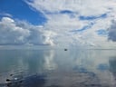 Blauer Himmel und Wolken spiegeln sich auf ruhigem Meer.