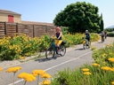 Menschen fahren mit Fahrrädern auf einem Weg neben gelben Blumen.