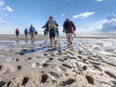 Gruppe von Menschen wandert über schlammigen Strand bei Ebbe.