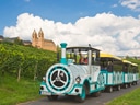 Touristenzug durch Weinberge mit Kirche im Hintergrund.