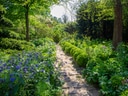Ein schmaler Weg durch einen üppigen Garten mit Blumen und Bäumen.