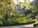 Sonniger Gartengarten mit grüner Bepflanzung und geschwungenen Hecken.