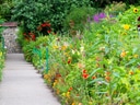 Ein Gehweg neben einem bunten Blumenbeet in einem Garten.