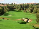 Grüne Golfplatzlandschaft mit Bäumen und Brücke.