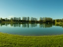 Panoramablick auf einen sonnigen See mit Bäumen im Hintergrund.