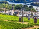 Seilbahn über Weinberge mit Stadt im Hintergrund.