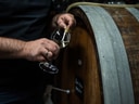 Person degustiert Wein aus Fass im Weinkeller.