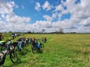 Fahrräder neben Weg durch grüne Wiese unter bewölktem Himmel.