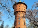Historischer Wasserturm aus Backstein mit blühenden Bäumen im Vordergrund.