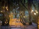 Steinweg durch einen Baumgarten mit hängenden Lichtern.