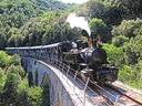 Historischer Zug auf Brücke in bewaldeter Landschaft.