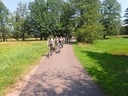 Gruppe von Radfahrern auf einem Weg durch grüne Landschaft.