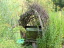 Aquarium unter einer Pergola aus Ästen, umgeben von hohen Pflanzen.