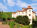 Historisches Gebäude neben Weinberg unter blauem Himmel.