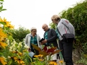 Drei Personen in einem blühenden Garten, die auf ein Tablet blicken.