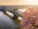 Brücke über Fluss bei Sonnenuntergang mit blühendem Baum im Vordergrund.