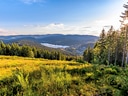 Panoramablick auf Wald und See in sonniger Landschaft.
