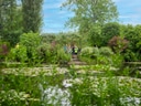 Gruppe von Menschen im Garten mit Seerosen.