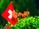Schweizer Flagge in Blumenbeet.