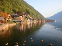 Malerisches Dorf am Seeufer mit Enten im Vordergrund.