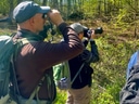 Zwei Personen beobachten Vögel im Wald mit Ferngläsern.