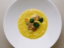 Gelbes Risotto mit gegrillten Garnelen und grünen Blättern auf einem weissen Teller.