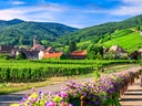 Dorf und Weinberge in malerischer Hügellandschaft.