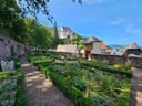 Garten mit gepflegten Hecken und blühenden Pflanzen vor einem Schloss auf einem Hügel.
