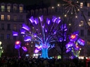 Beleuchtete Schmetterlingsskulptur und Blumen bei Nachtveranstaltung.