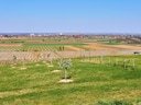 Weitläufige landwirtschaftliche Felder unter blauem Himmel.