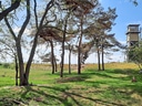 Landschaft mit Bäumen und einem Aussichtsturm.