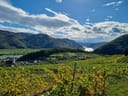 Blick auf eine hügelige Landschaft mit Weinbergen, Fluss und blauem Himmel.