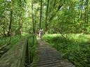 Holzsteg im Wald mit zwei Wanderern.