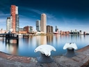 Hafenansicht mit Hochhäusern am Wasser in Rotterdam.
