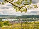 Landschaft mit Fluss, Hügeln und Weinbergen im Vordergrund.