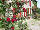 Steinhaus mit roten Fensterläden und Rosen im Garten.