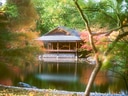 Traditionelles Holzgebäude am Teich in herbstlicher Gartenlandschaft.