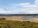 Feuchtgebiet mit Wasser und Vegetation unter bewölktem Himmel.