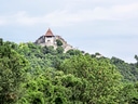 Burg auf bewaldetem Hügel.