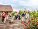 Gruppe von Menschen bei Weinprobe auf Terrasse mit Weinfässern und Blumentopf.