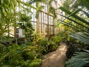 Innenansicht eines botanischen Gewächshauses mit üppiger Pflanzenvielfalt.