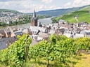 Weinberge über einer Stadt mit Fluss und Kirche im Hintergrund.