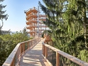 Holzweg führt zu spiralförmigem Aussichtsturm zwischen Bäumen.