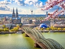 Stadtansicht mit Dom, Brücke und blühenden Zweigen.
