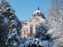 Schneebedeckte Bäume vor einem historischen Gebäude.